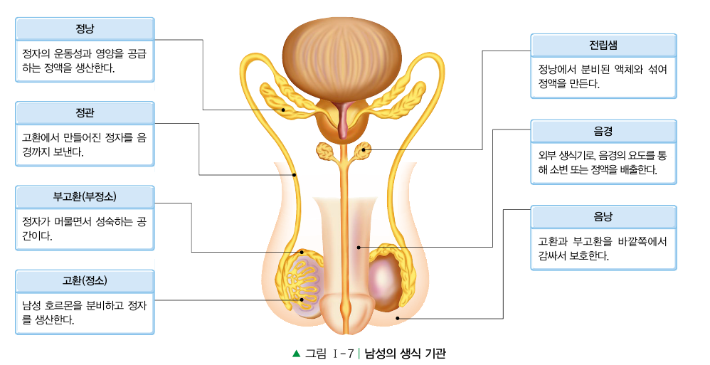 (주)교문사 기술·가정① 26쪽 현행내용 이미지