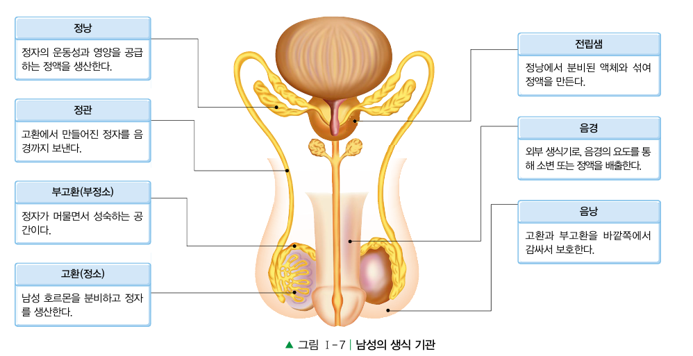 (주)교문사 기술·가정① 26쪽 수정내용 이미지