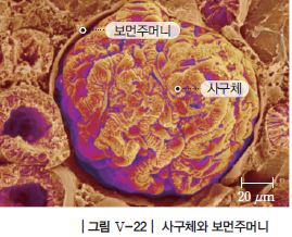 (주)천재교과서 과학2 183쪽 현행내용 이미지