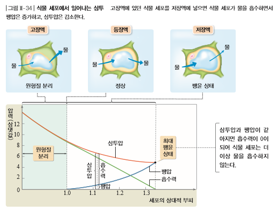 (주)비상교육 생명과학Ⅱ 48쪽 현행내용 이미지