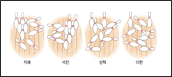 (주)비상교육 수학(5~6학년군)5-2 126쪽 수정내용 이미지