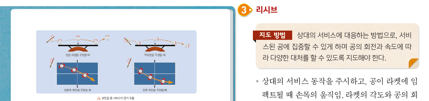 (주)금성출판사 체육② 385쪽 현행내용 이미지