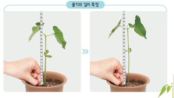 (주)비상교육 과학(3~4학년군)4-1 61쪽 현행내용 이미지