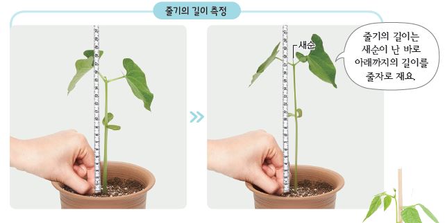 (주)비상교육 과학(3~4학년군)4-1 61쪽 수정내용 이미지