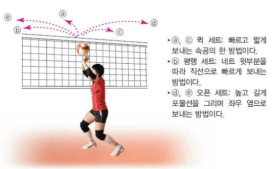 (주)와이비엠 체육 286쪽 현행내용 이미지