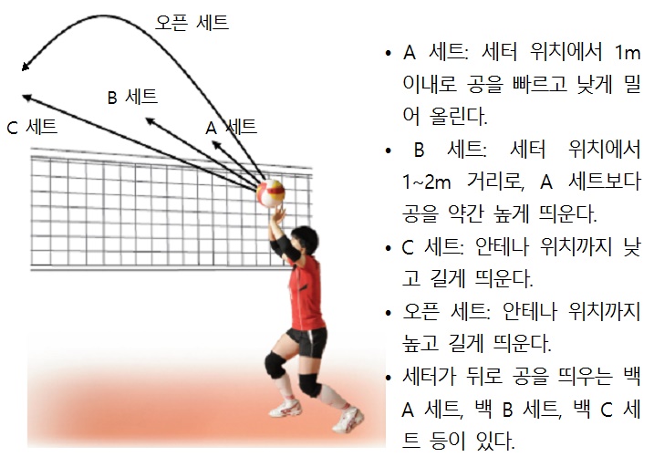 (주)와이비엠 체육 286쪽 수정내용 이미지