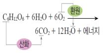 (주)천재교육 통합과학 190쪽 수정내용 이미지