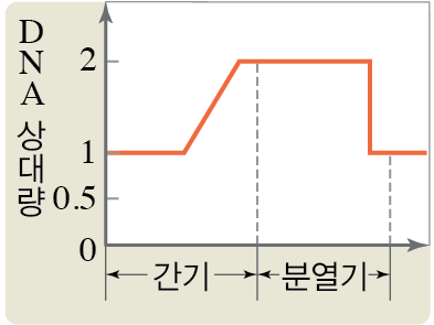 (주)비상교육 생명과학Ⅰ 125쪽 수정내용 이미지