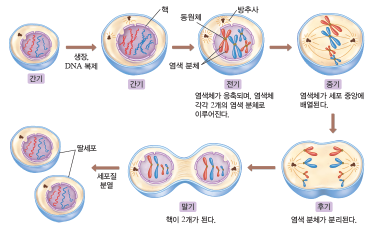 (주)비상교육 생명과학Ⅰ 119쪽 수정내용 이미지