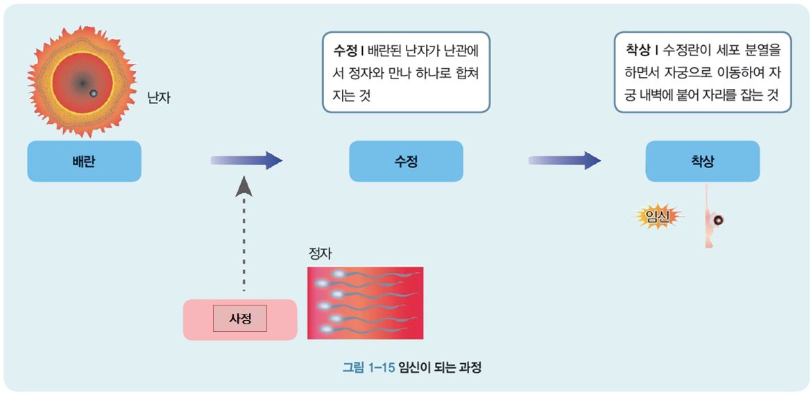 씨마스 기술·가정① 29쪽 수정내용 이미지