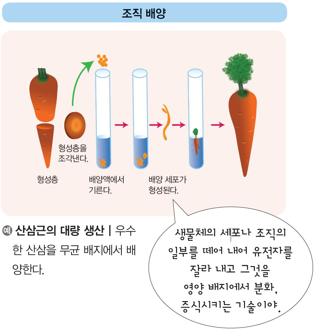 씨마스 기술·가정② 219쪽 현행내용 이미지