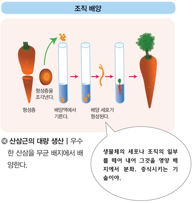 씨마스 기술·가정② 219쪽 수정내용 이미지