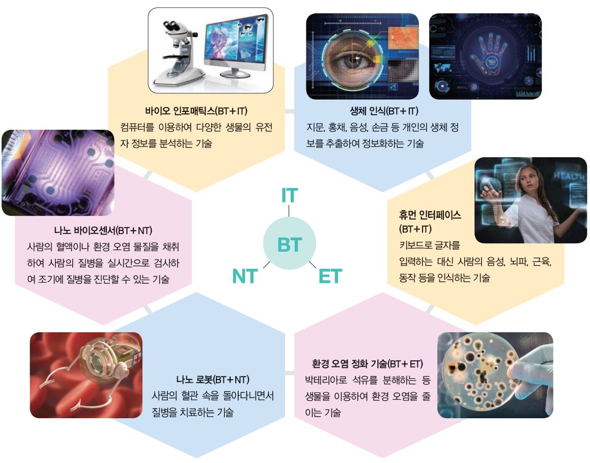 씨마스 기술·가정② 222쪽 현행내용 이미지