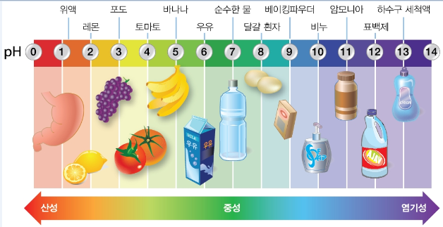 (주)금성출판사 통합과학 203쪽 수정내용 이미지