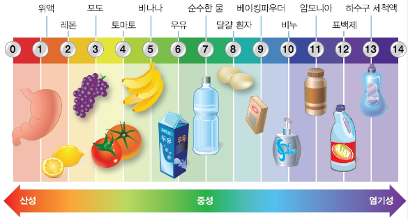 (주)금성출판사 통합과학 203쪽 현행내용 이미지