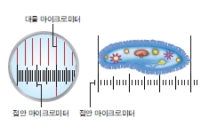 (주)교학사 생명과학Ⅱ 47쪽 수정내용 이미지