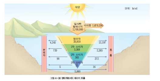 (주)교학사 생명과학Ⅰ 232쪽 수정내용 이미지