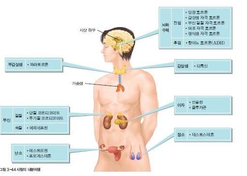 (주)교학사 생명과학Ⅰ 166쪽 수정내용 이미지