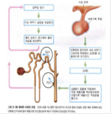 (주)상상아카데미 생명과학Ⅰ 157쪽 현행내용 이미지