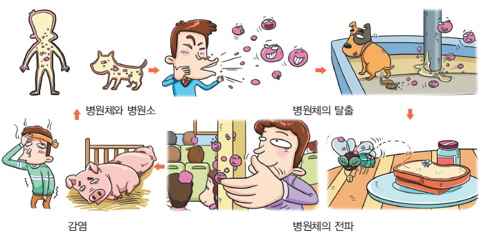 병원체의 탈출 그림(기침하는 사람 → 배설하는 강아지)