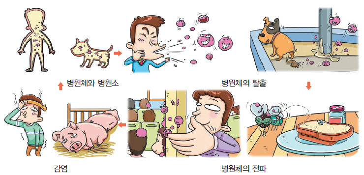 병원체의 탈출 그림(기침하는 사람  배설하는 강아지)