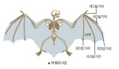 (주)미래엔 과학3~4(전자저작물CD 포함) ② 233쪽 현행내용 이미지