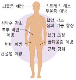 운동의 효과