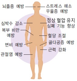 운동의 효과 수정