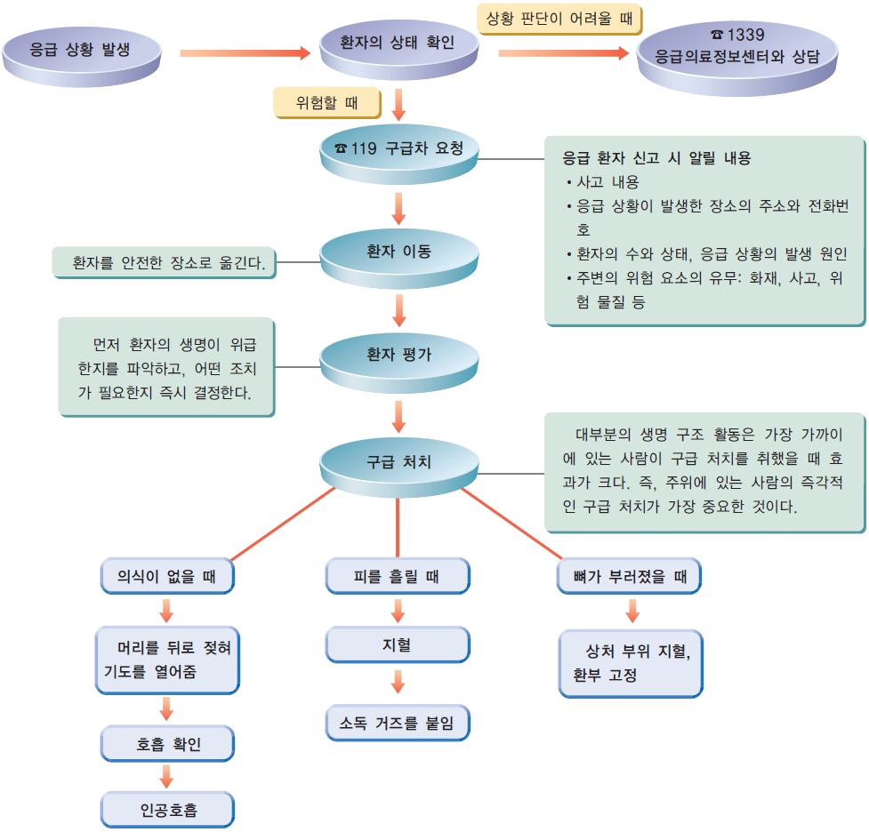 응급 상황 대처 순서