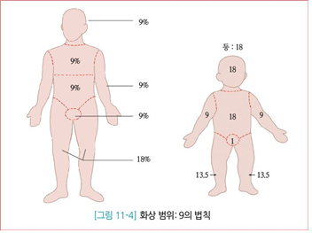 피앤피북 기초 간호 임상 실무 266쪽 현행내용 이미지