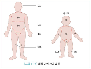 피앤피북 기초 간호 임상 실무 266쪽 수정내용 이미지