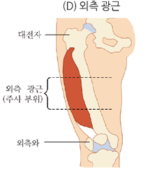 피앤피북 기초 간호 임상 실무 249쪽 현행내용 이미지