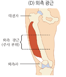 피앤피북 기초 간호 임상 실무 249쪽 수정내용 이미지