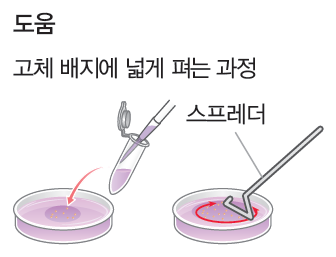 (주)지학사 생명과학Ⅱ 195쪽 현행내용 이미지