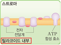 (주)지학사 생명과학Ⅱ 71쪽 수정내용 이미지