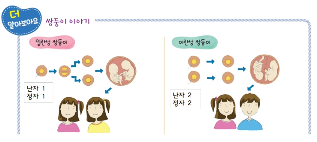 (주)교학사 보건5 70쪽 수정내용 이미지