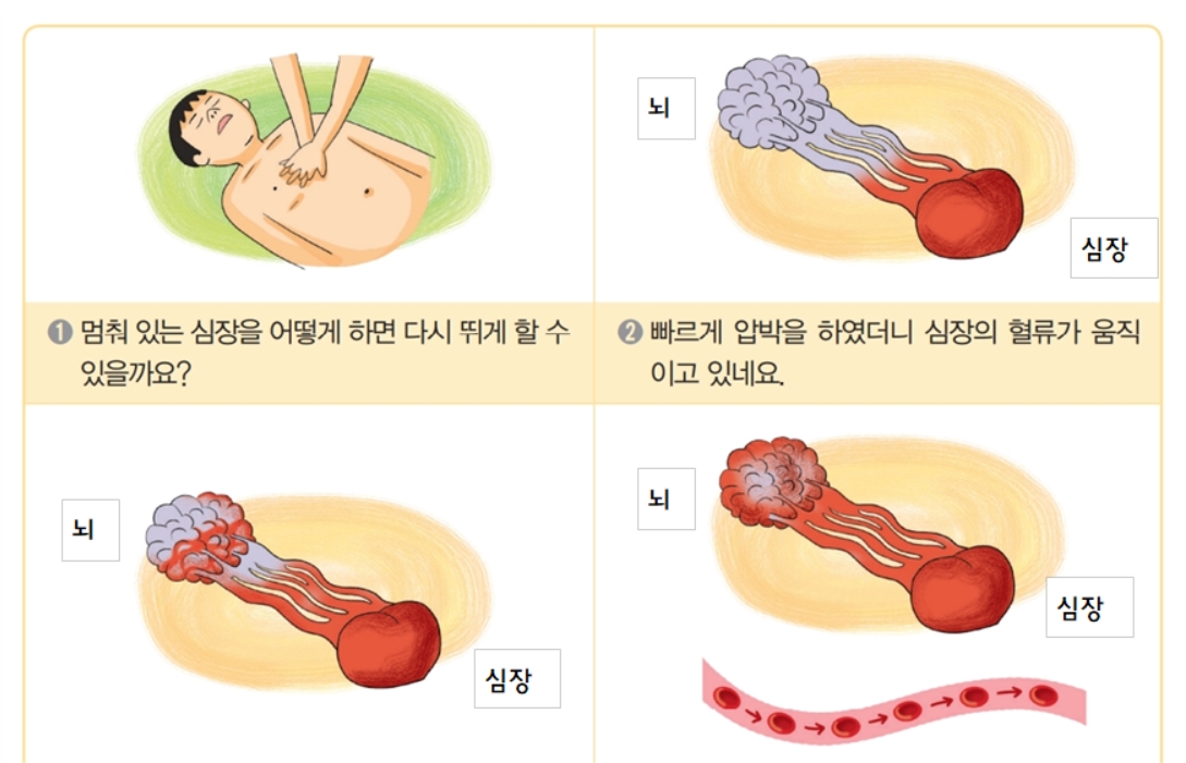 (주)교학사 보건6 124쪽 수정내용 이미지