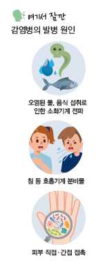 지구문화사 보건5~6 26쪽 현행내용 이미지