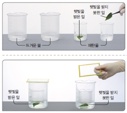 (주)아이스크림미디어 실험관찰(5~6학년군)6-1 47쪽 현행내용 이미지