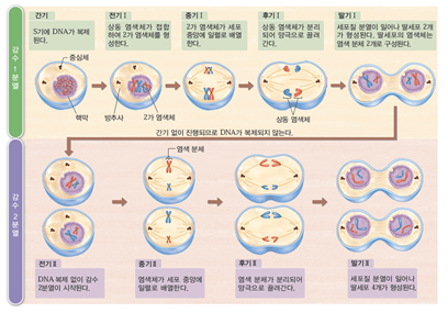 (주)비상교육 생명과학Ⅰ 124쪽 현행내용 이미지