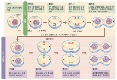 (주)비상교육 생명과학Ⅰ 124쪽 수정내용 이미지