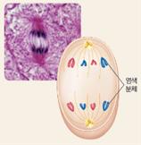 (주)미래엔 과학3 181쪽 현행내용 이미지