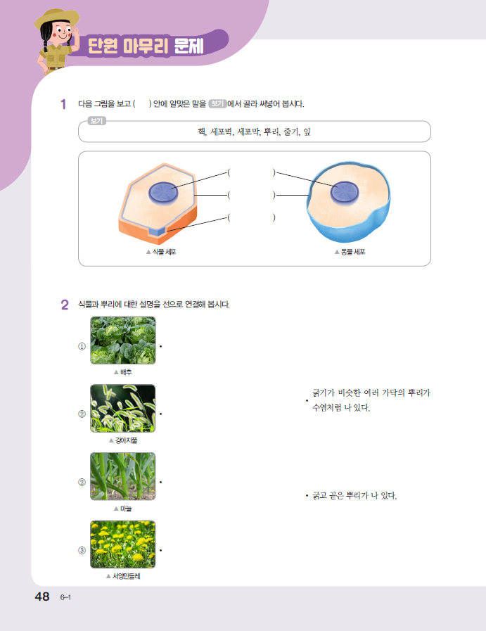 김영사 실험관찰(5~6학년군)6-1 48쪽 현행내용 이미지